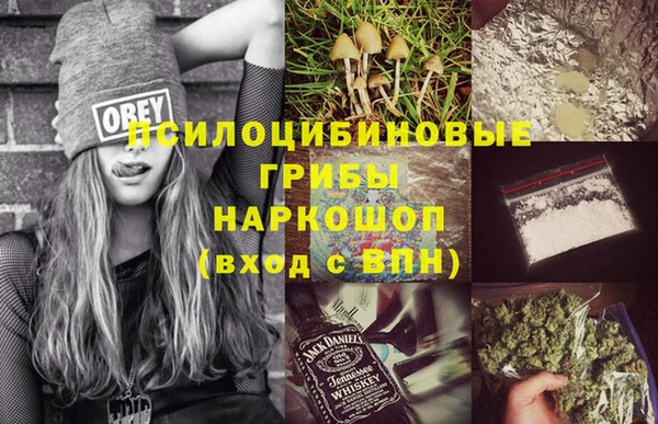 МДПВ Арсеньев