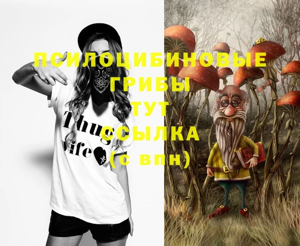 MDMA Premium VHQ Аркадак