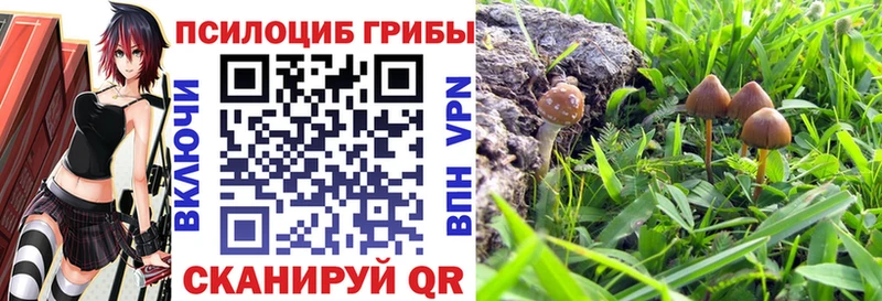 Галлюциногенные грибы ЛСД  купить наркотик  Скопин 